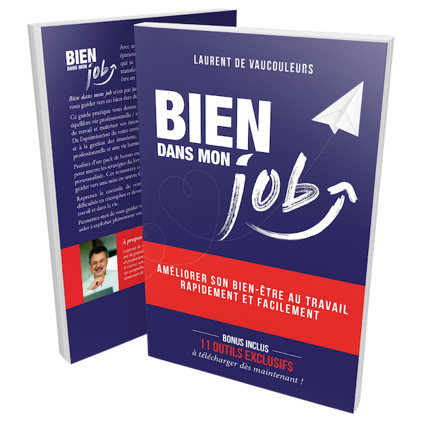 Couverture du livre Bien dans mon job par Laurent de Vaucouleurs, guide de coaching pour cadres et dirigeants de l’immobilier et du BTP